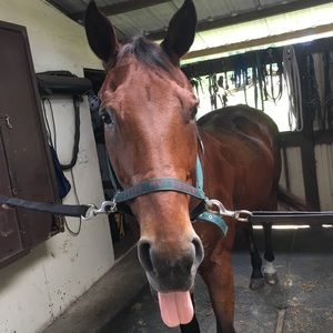 Meet your Posher, Alicia